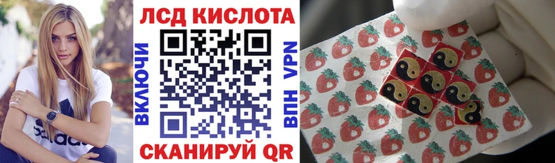 Наркотические марки 1500мкг Трубчевск